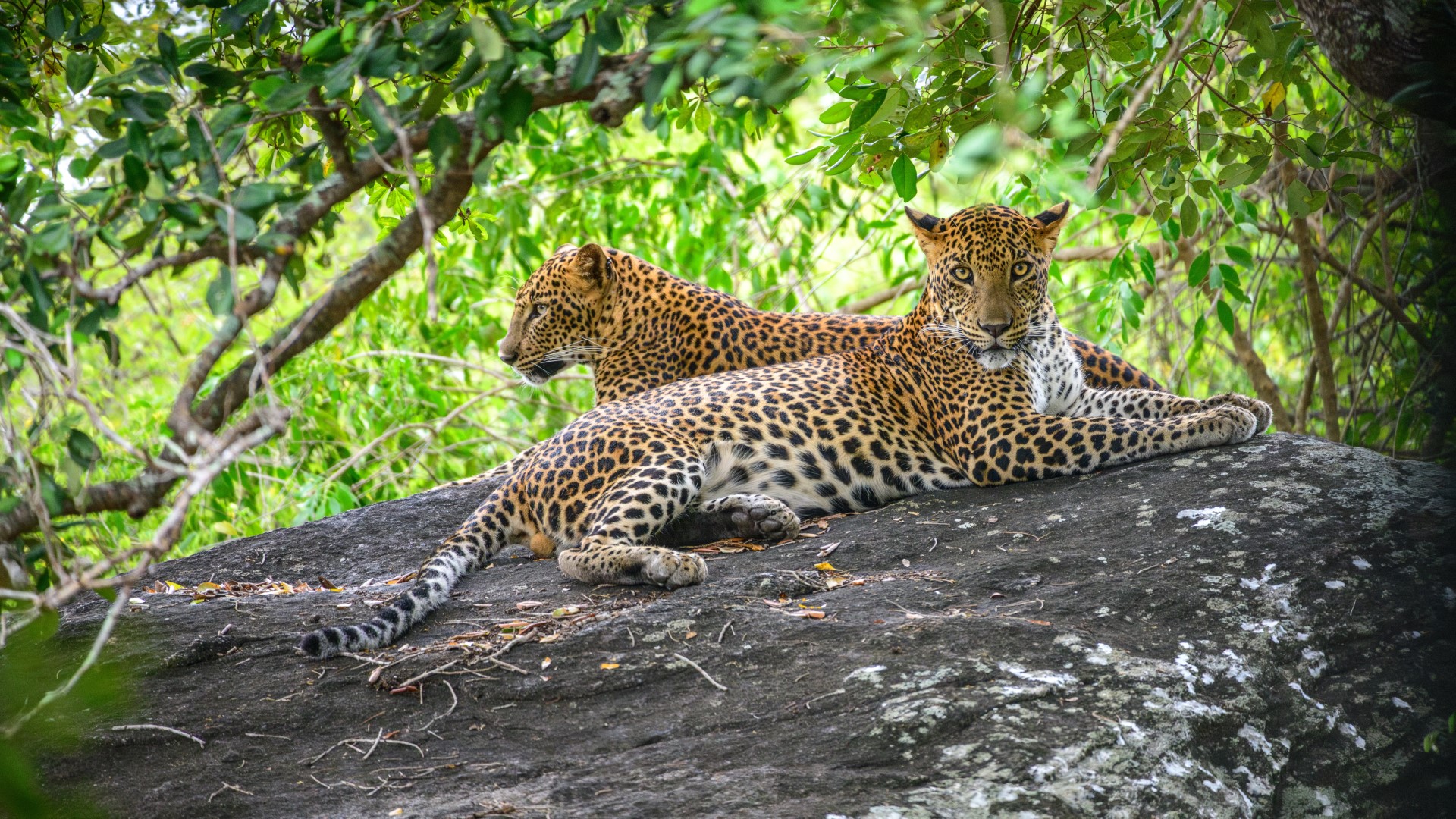 Wildlife & Adventure Expedition